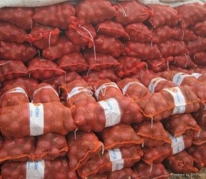 Grade A Fresh Red Onion Exporters In Ukraine