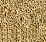 Guar Seeds High Quality