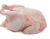 Import Halal Whole Chicken from Brazil