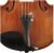 Import Handmade Violin Alexey Romanov from Russia