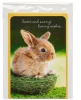 Happy Easter day party invitation bunny paper cards with wishes words