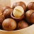 Import Healthy &amp; tasty snack Macadamia Nuts for leisure time from China