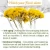 Import HELICHRYSUM HYDROSOL. 100% PURE AND NATURAL from India