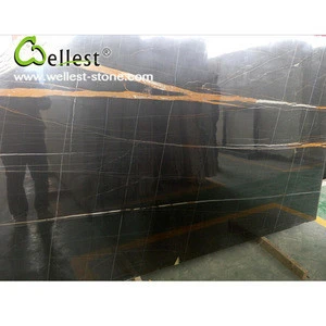 High-end Beautiful Veins Polished Nero Tunisi Black Marble for Wall Covering