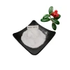 High Quality Bearberry Extract Alpha Arbutin