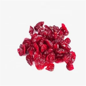High quality best antioxidant aronia chokeberry fruit cranberry extract powder