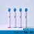 Import High quality Electric Replacement Tooth Brush Head For Replacement Toothbrushes from China