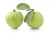 Import High Quality Fresh Guava Fruits Supplier from Ukraine
