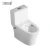 Import high quality sanitary ware ceramic washdown one piece bidet toilet wc for home bathroom from China