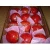 Import high Sweet Pomegranate crops from Egypt