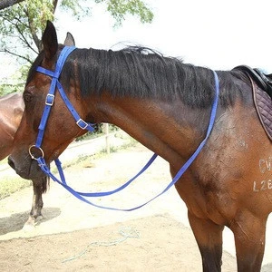 Horse riding equipment with bridle ane rein in durable