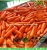 Import (HOT) 2019 FRESH YELLOW CARROTS/Carrot exporters from China