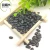 Import Hot Sale Chinese Origin Small Black Lentil Beans/Export Black Kidney Beans from China