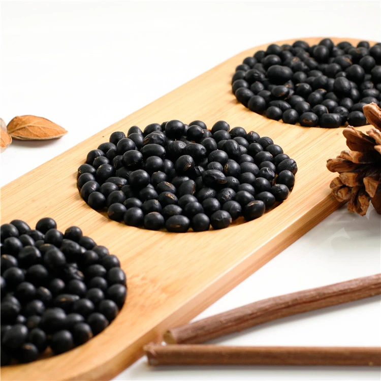 Hot Sale Conventional Small Bulk Dried Black Round Bean wholesale