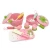 Import Hot sale new style role play toy wooden cooking utensils wooden pot toys wooden toys pot set for kids from China