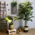 Import Hot Sale Rustic Style Home Vintage Wooden Wall Hanging Decor from China