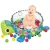 Import Hot Sales On Amazon Animal 3-in-1 Grow with me Activity Gym and Ball Pit Baby Play Mats from China
