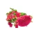 Hot selling IQF frozen dragon fruit from Vietnam