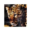 In stock Perfect 3d frameless picture with animals for home / hotel /library decoration