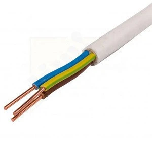 Indoor Housing Low Voltage BV BVV BVVB BVR Electrical Wire and Cable