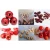 Import Industrial Automatic Fresh Cherry Fruit Pit Removing Machine from China
