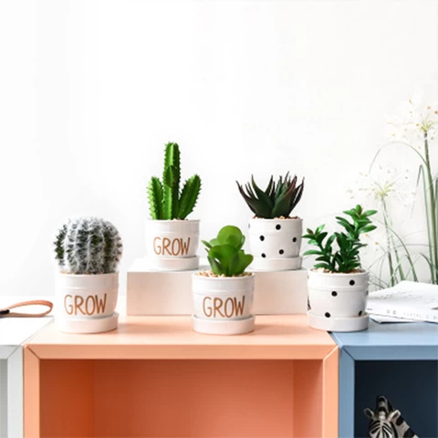 INS Style Plant Succulent Cactus  Decoration Small Bonsai Artificial Plants