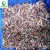 Import IQF frozen fungus edible fungus good quality black strips tree fungus from China