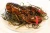 Import IQF Frozen Lobster, Frozen Lobster Tail from South Africa