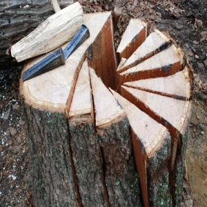 Kiln dried split firewood on pallets/ Firewood