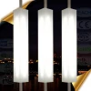 Landscape Lighting, classic designs lamppost which will fit in well anywhere.