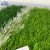 Import Landscaping Mat Home Garden Turf Artificial Carpet Grass Rug Outdoor Artificial Grass from China