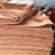 Import Linyi GUW ,SAPELE ,RED COLOR HARDWOOD VENEER from China
