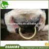 livestock equipment veterinary surgical instruments for wholesales