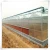 Import Low cost agricultural hydroponic glass greenhouse for strawberry/tomato/lettuce/cucumber growing from China