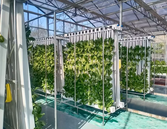 Lyine 2024 Lettuce Hydroponic Zip Grow Tower Vertical Hydroponics Zip Wall System for Greenhouse