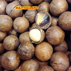 Macadamia Nuts Best Quality from Thailand
