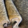 [ Manufacturer ] Two-tone black tip dyed red/brown/beige color plush fur, fake fur fabric