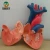 Import Medical Science Two Parts Human Heart Anatomy Model from China