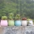 Import Modern Decorative Purple Gardenfor Succulent Cactus Plants Pot Ceramic flower pots and planters from China