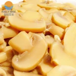 mushroom canned food/canned mushroom slice