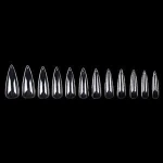 Nail art manicure French Half-covered Cusp Artificial Fingernails Acrylic Nail Tips