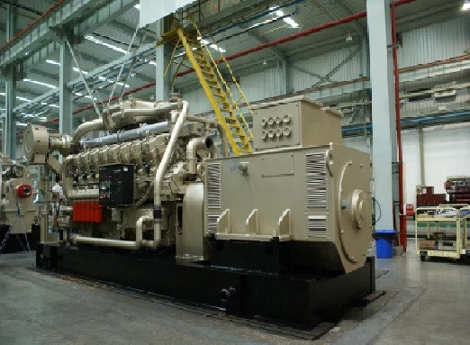 Natural gas generator set