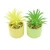 Import Natural Style Artificial Plants Study Home Decoration artificial succulents with pot for indoor from China