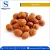 Import Natural Taste Quality Blanched Hazelnut/Hazel Nut at Low Price from South Africa