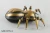 Import NEW  children plastic rc insect Mechanical spider toy remote control spider from China