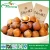 Import new corp high quality cultivation direct roasted cheap hazelnuts price from Ningxia Chinese from China