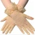 Import new design Women lace gloves Wedding Dress Gloves sexy  Finger Gloves from China