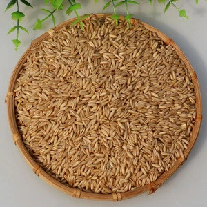 New high quality oats for sale at factory prices wholesale