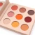 Import New hot sale wholesale high pigment cardboard 9 color private label eyeshadow palette from China