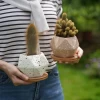 New items 2021 succulent planter pot ceramic flower pots small ceramic pot with tray